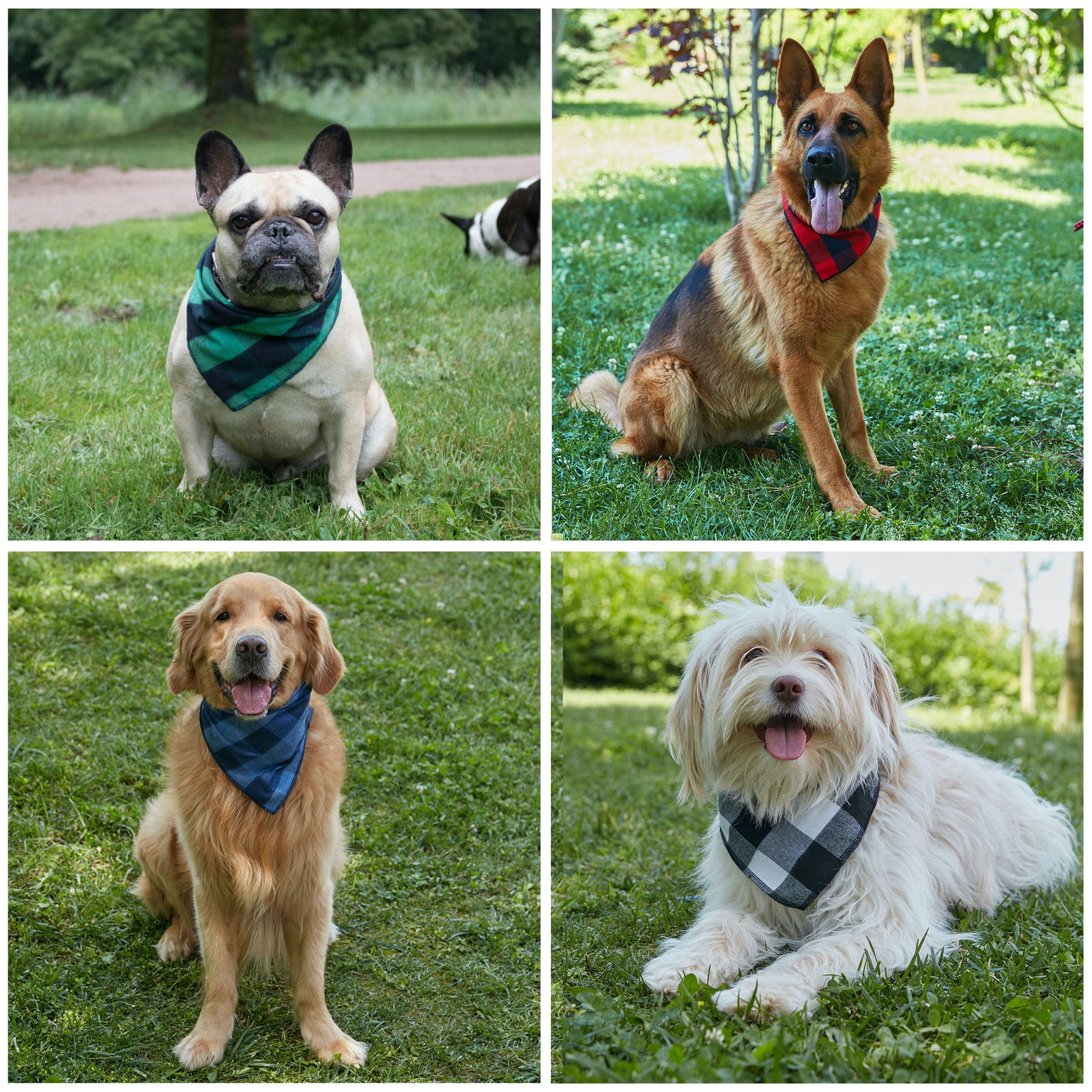 buffalo plaid dog bandana, red dog bandana, blue dog bandana, black and white dog bandana, red dog bandana, buffalo plaid dog bandanas