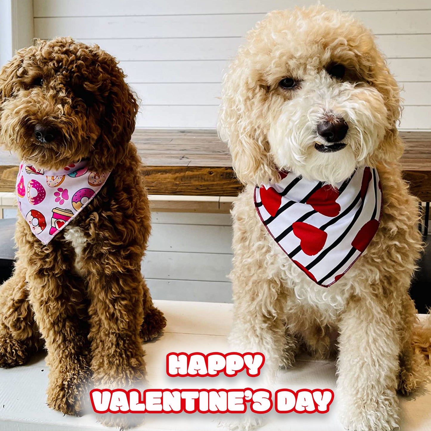 Valentines Day Dog Bandana - 2 Pack