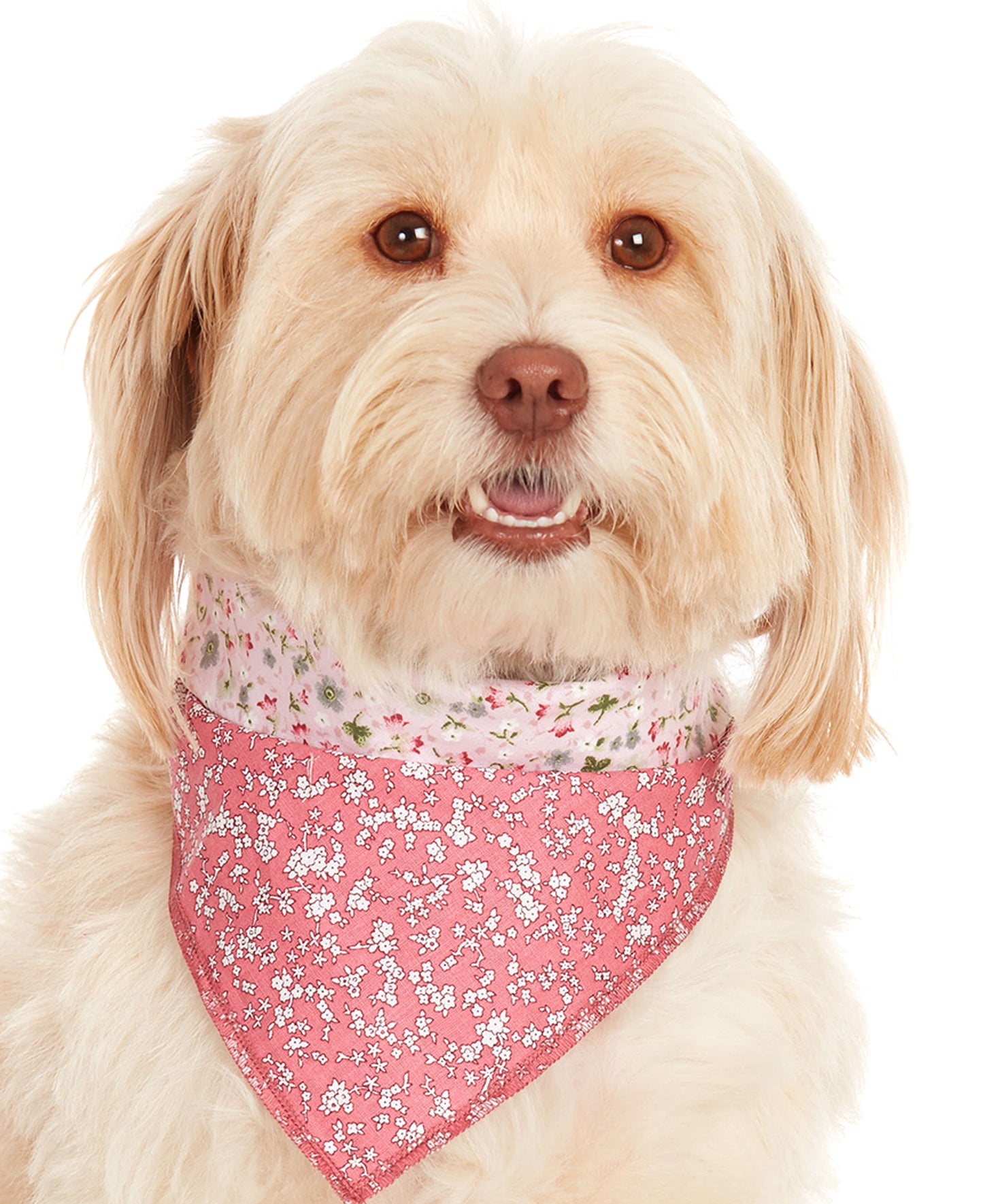 Pink Floral Dog Bandana