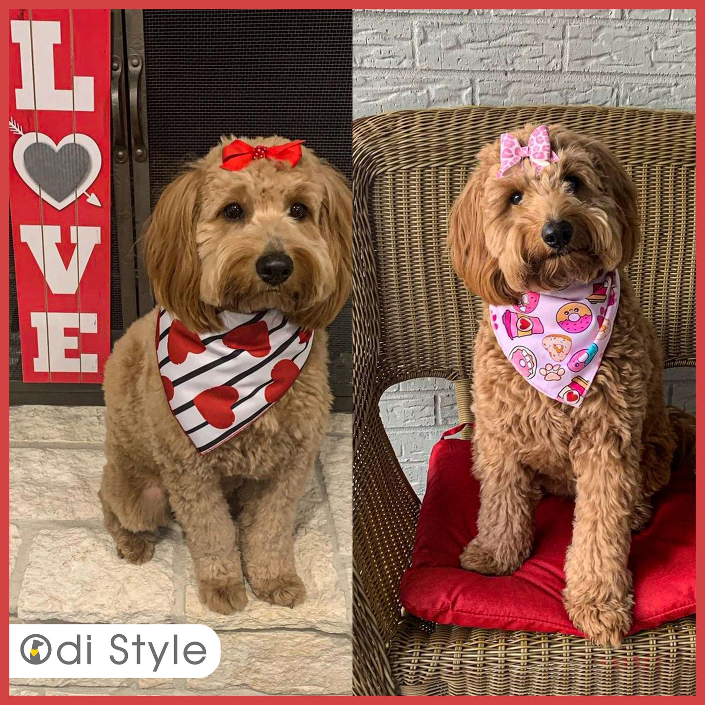 Valentines Day Dog Bandana - 2 Pack